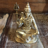 Hindu Lord Shiva Sitting on Lion